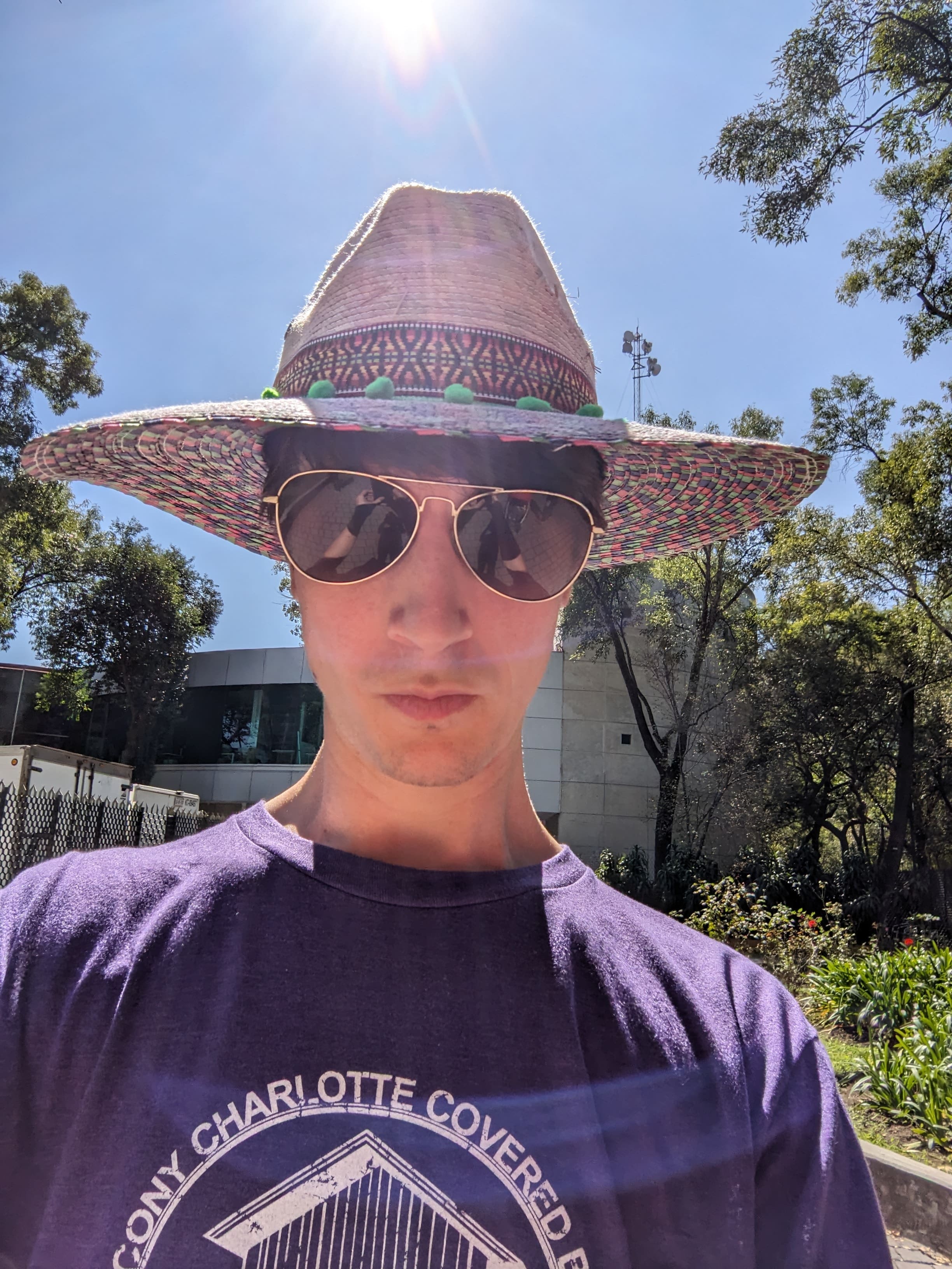 Sean Nealon's profile picture
